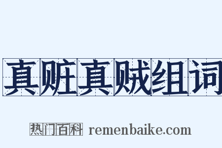 真赃真贼组词是什么意思的图片